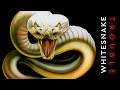 Whitesnake: "Free Flight" (1978)