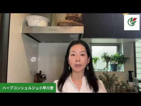 医療ビジネス薬科学科 フェンネルの魅力と活用方法