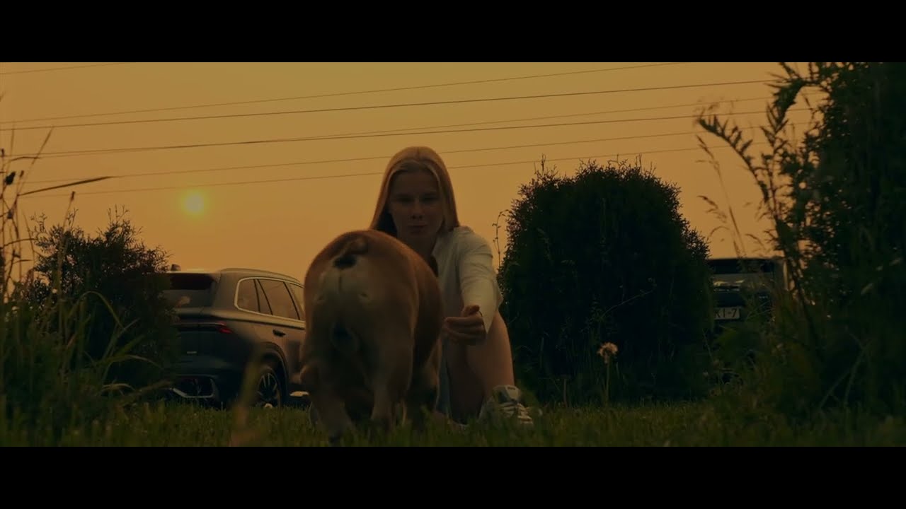 Film preview