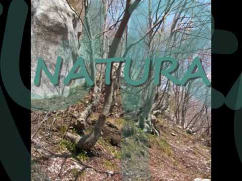 THE BEST OF ROCCAMORICE