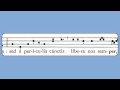 Sub Tuum Praesidium (Feasts of BVM, Antiphon)