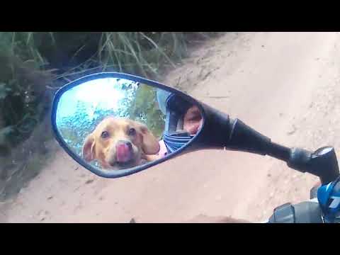 passeio no dia de folga curta aí em Buenópolis mg