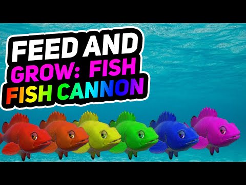 feed and grow fish controls