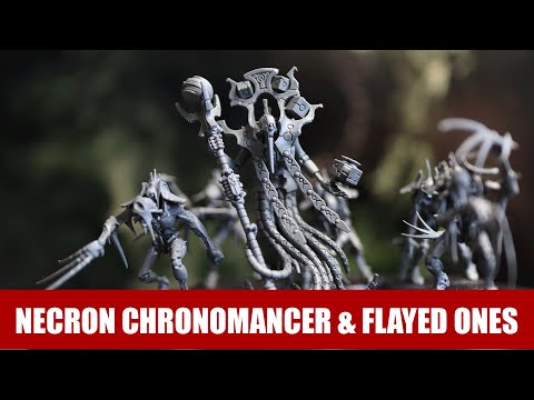 Flayed Ones and Chronomancer Build + Lore (WH40K)