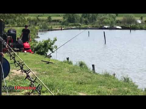 26.05.2019 Mężczyzna topił się w stawie w Kolonii Poniatowice