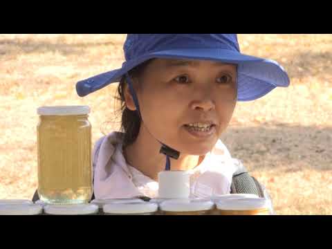 Boja meda ep. 34 30.10.2018. - Vladimir Šešlija, falsifikovani med, značaj jakog društva