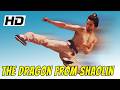 Wu Tang Collection The Dragon From Shaolin HD