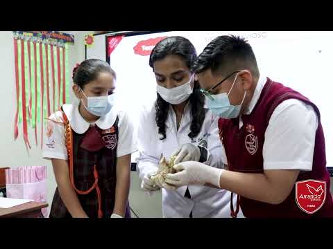  Así son nuestras clases de Ciencia, Tecnología y Ambiente.