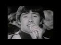 NEW * Wild Thing - The Troggs {Stereo}