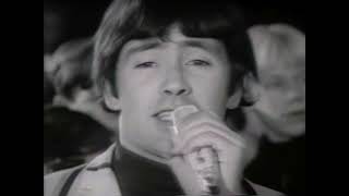 NEW * Wild Thing - The Troggs {Stereo}