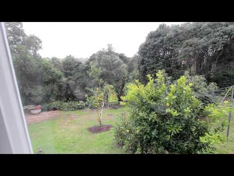 SOLD - 13 Kapua Street, Meadowbank -