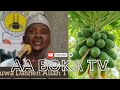 Amfanin Ganyen Gwanda Mata Da Maza Sheikh Abdulwahab Gwani Bauchi