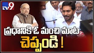 AP CM YS Jagan on talks with Amit Shah