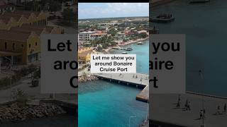 🚢 Bonaire Cruise Port: What You NEED to Know Before You Go! 🇧🇶✨ #cruisetips