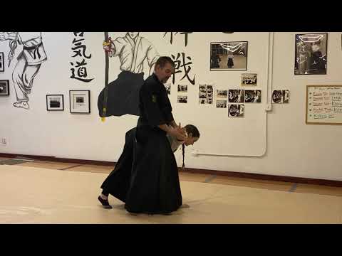 Shomen Uchi Ikkyo Irimi