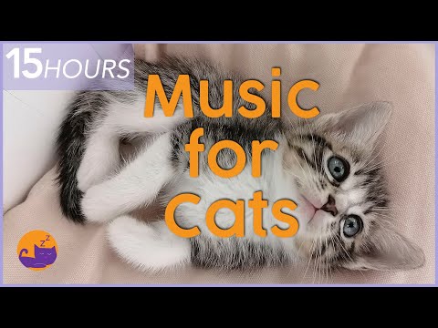 EXTRA LONG 15 Hours of Relaxing Music to Calm Your Cat 🐈
