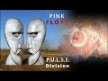 Pink Floyd  - The Division Bell Live (Video Album)