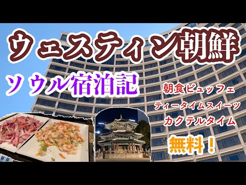 [Relatório de acomodações do hotel Westin Chosun] Aproveite a piscina e o lounge em um hotel de longa data em Seul | Ótimas ofertas para membros Marriott Platinum ♪