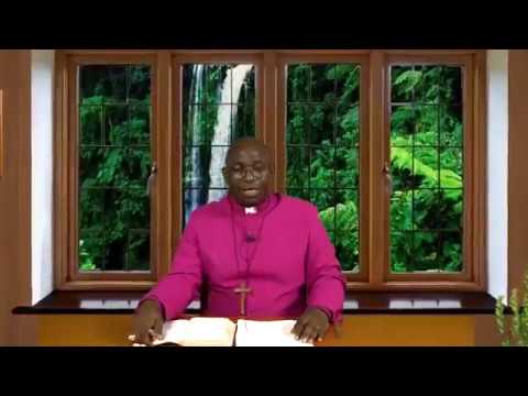 THE DAILY FOUNTAIN OF OCTOBER 5, 2017