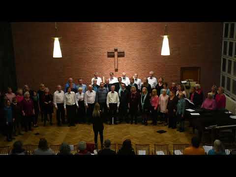 Chanson D'Amour - Voice in Fusion and Fyrklang