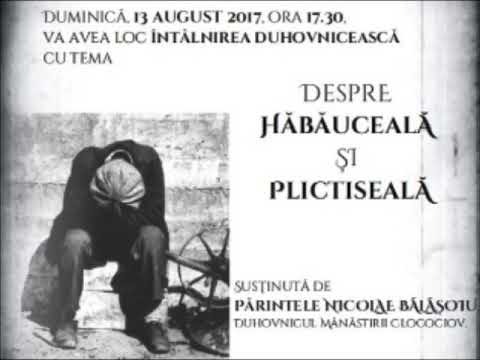 20170813 NICOLAE BALASOIU   DESPRE HABAUCEALA SI PLICTISEALA