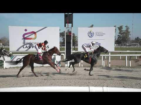 210806 c07 - BARCOLA -  HIPODROMO LAS PIEDRAS