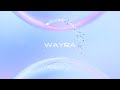 Amazon Zone - Wayra