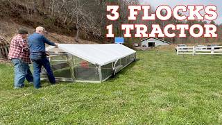 This Custom Chicken Tractor SOLVES Our Biggest Problem