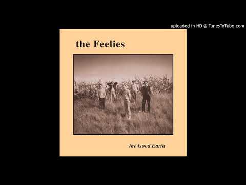 The Feelies - When Company Comes
