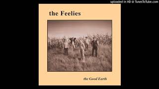 The Feelies - When Company Comes