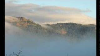 Dear Mr Fantasy - CSN