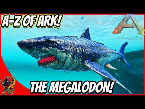 A-Z Of Ark! The MEGALODON THE UNDERRATED OCEAN TAME!! || Ark Survival Evolved!