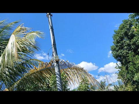 18 MANZANAS ABITABLES EN HACIENDA SANTA CLARA !! SAN LUIS TALPA " DPT LA PAZ 
