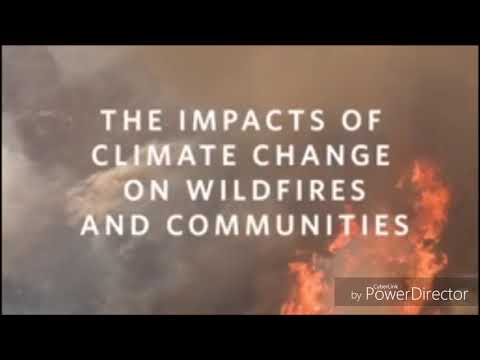 The Anthropocene: The age of mankind