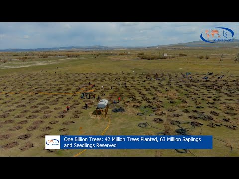 One Billion Trees: 42 Million Trees Planted, 63 Million Saplings and Seedlings Reserved