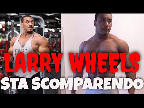 Larry Wheels sta SCOMPARENDO | Cosa possiamo imparare da questa storia?