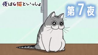 찰칵!📱 - アニメ『夜は猫といっしょ』 第7夜 「ネコの写真うまく撮れない」