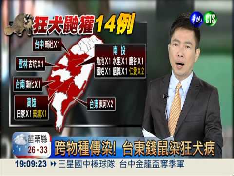 跨物種傳染! 台東錢鼠染狂犬病