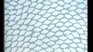 &Tau;&alpha; Ά&tau;&omicron;&mu;&alpha;