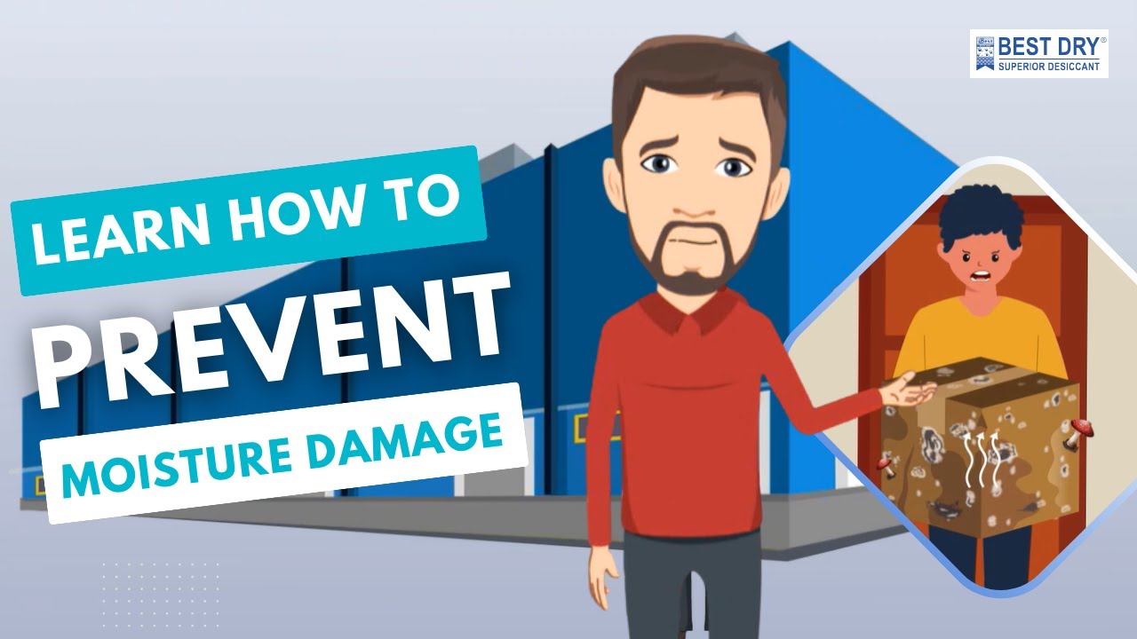 Best Dry®️ Superior Desiccant | Container Desiccant | Best Silica Gel Packaging | Best Dry Ind
