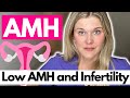 AMH How Can Low AMH Impact Fertility What Should You Know About AMH
