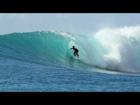 Health 🍃🌲 MaxkoMusic 🌲🍃 no copyright music