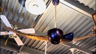 Fanimation Enigma Ceiling Fan (Older gen, steel)