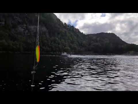 Silver Viking 2022 06 07 18 21 20 090