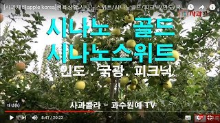 [사과재배]생육상황 9월/시나노스위트/시나노골드/피크닉/후지/M26자근/Fuji apple/Sinanoswi…