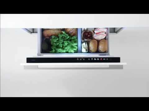 Fisher & Paykel Built In Larder Fridge RB9064S1 - Fully Integrated Video 1