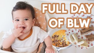 WHAT MY 9 MONTH OLD EATS IN A DAY | Baby Led Weaning and Breastfed