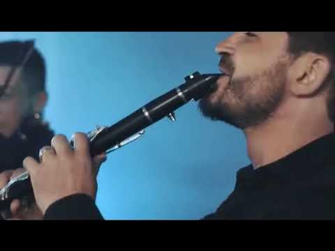 Larisa Stefania - Floralesele (Cover) 2020