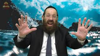 מוסר מהפרשה עם הרב יוסף שושן - פרשת חוקת
