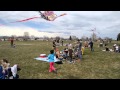 Kids Flying Cool Kites At Arvada Kite Festival